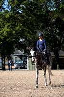 Novice (2'9-2'11)