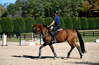 Beginner Novice (2'7-2'9)